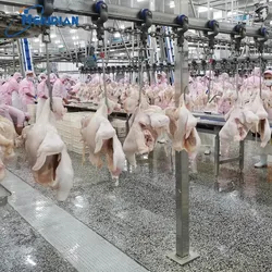 companies that process chicken in china China Factory
