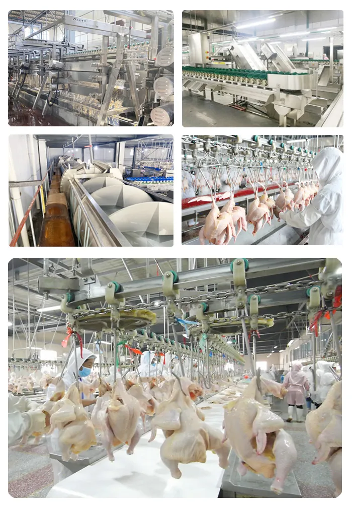 companies that process chicken in china