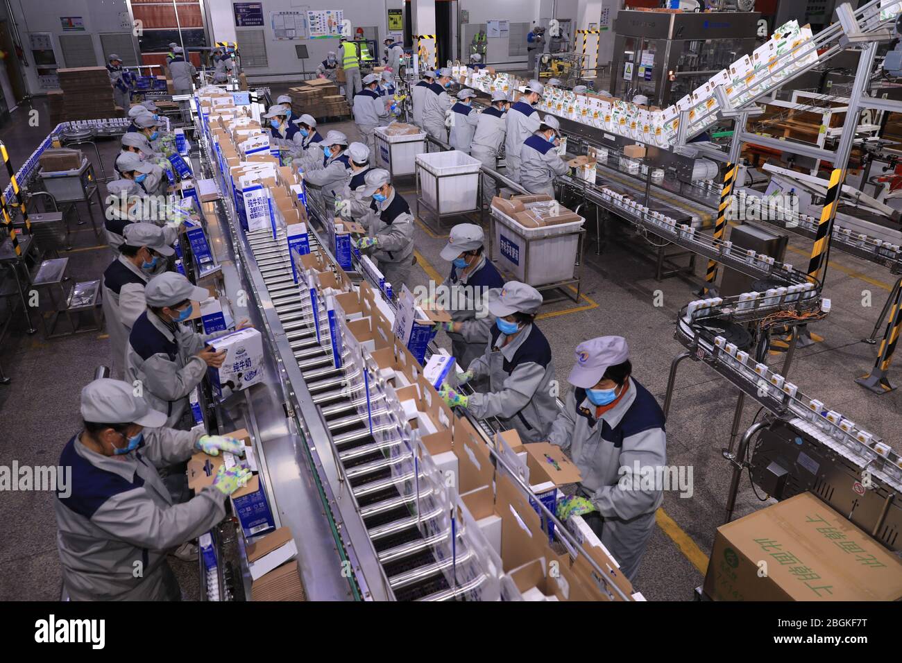 dairy companies in china