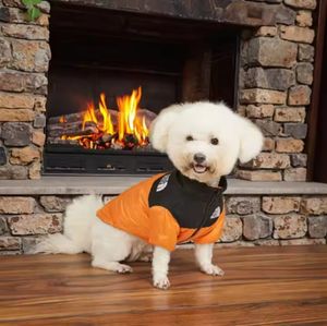 designer dog clothes wholesale china China Factory
