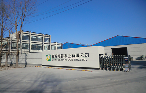 dexin china holdings company limited