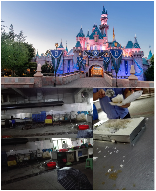 does china own disney company