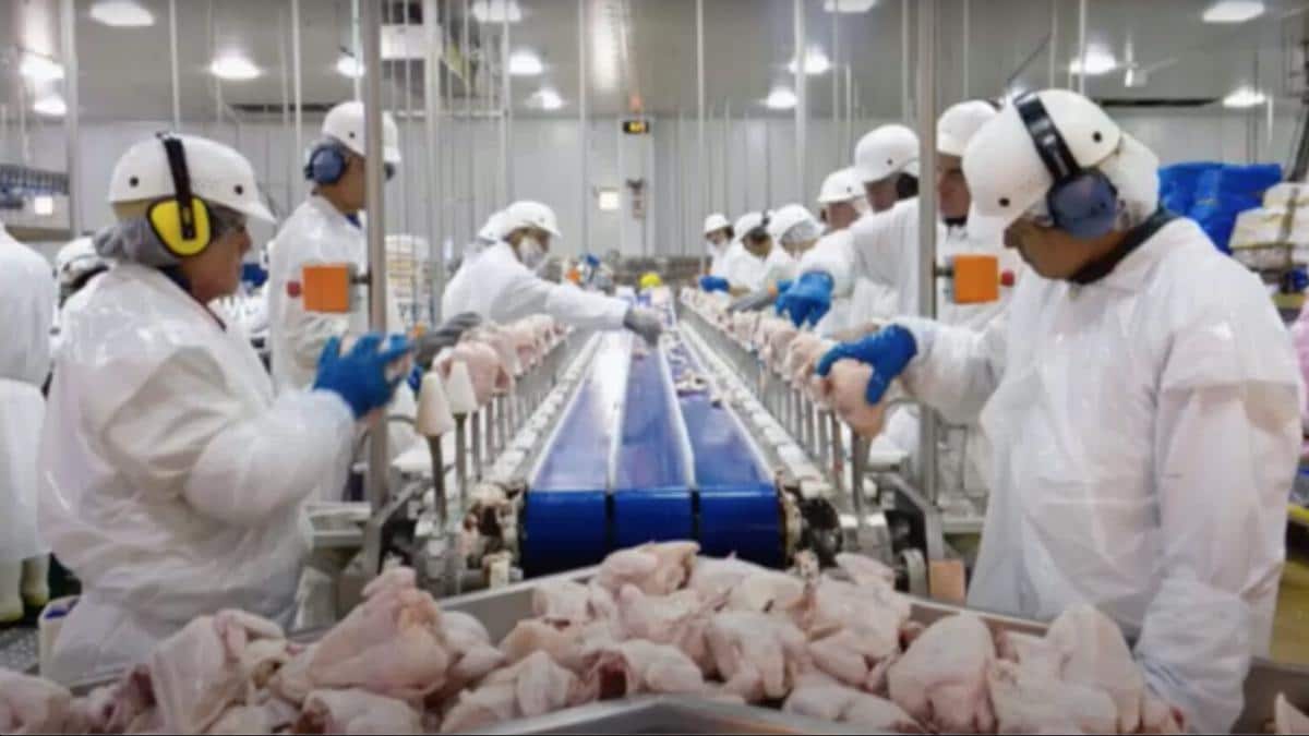 does china own tyson chicken company