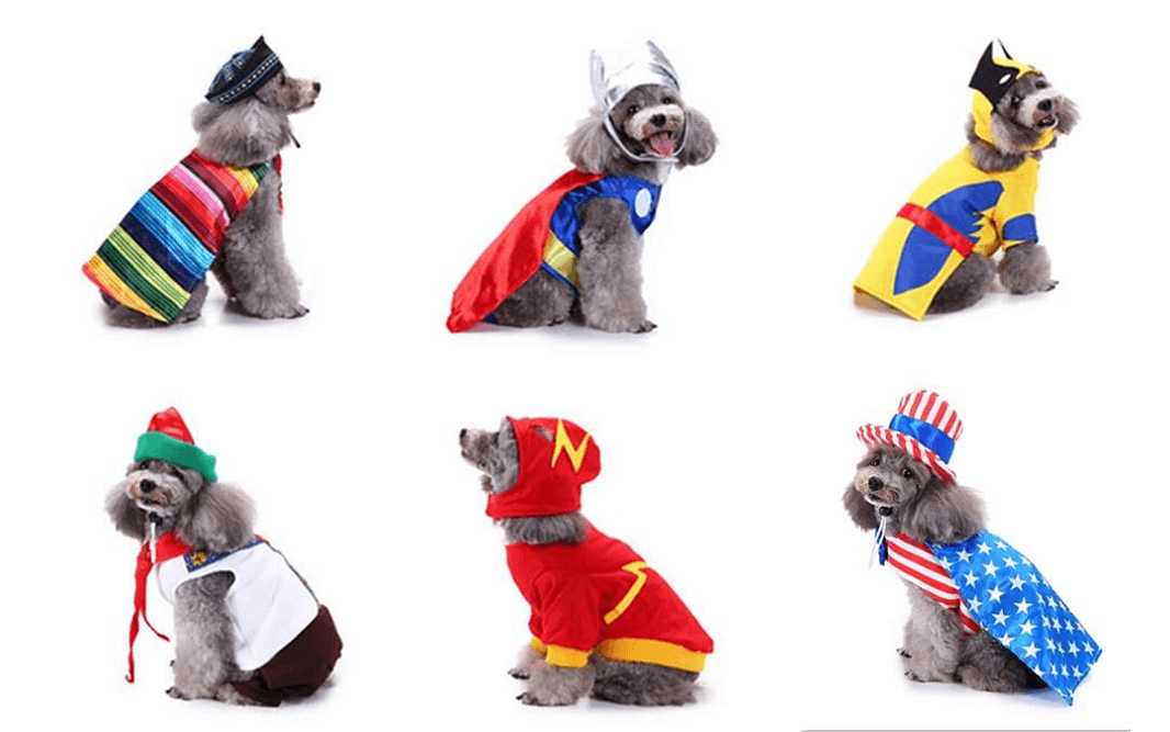 dog apparel wholesale china