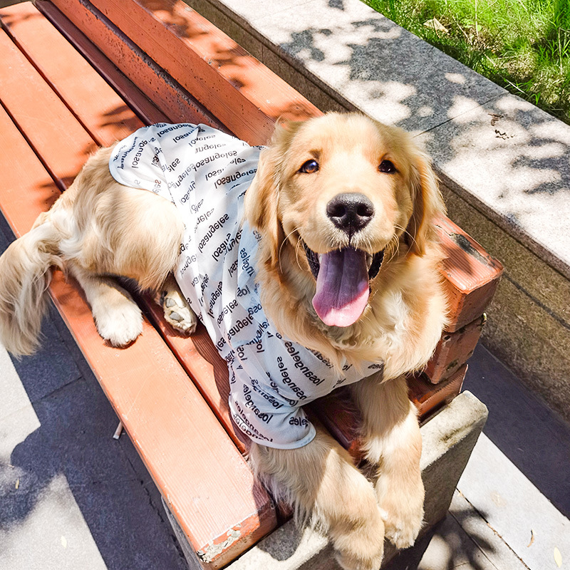 dog apparel wholesale china