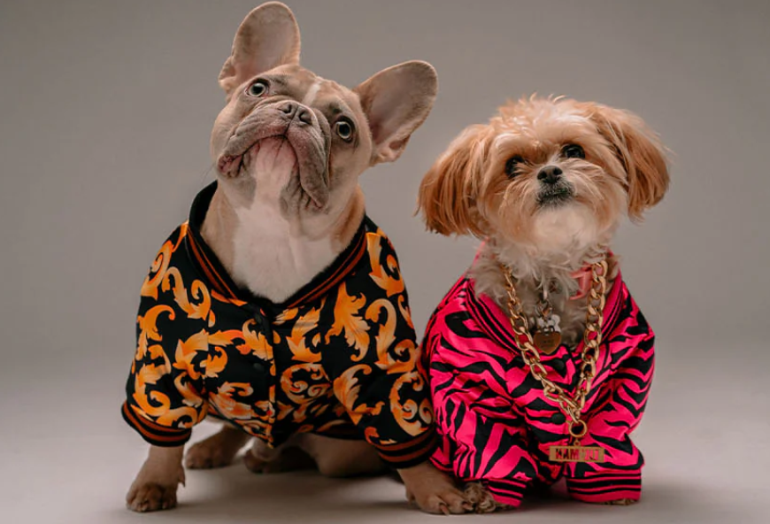 dog clothes wholesale china