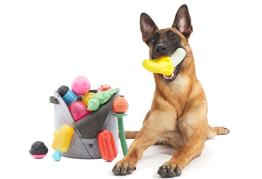 dog toys wholesale china