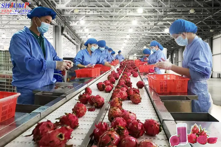 dragon company china