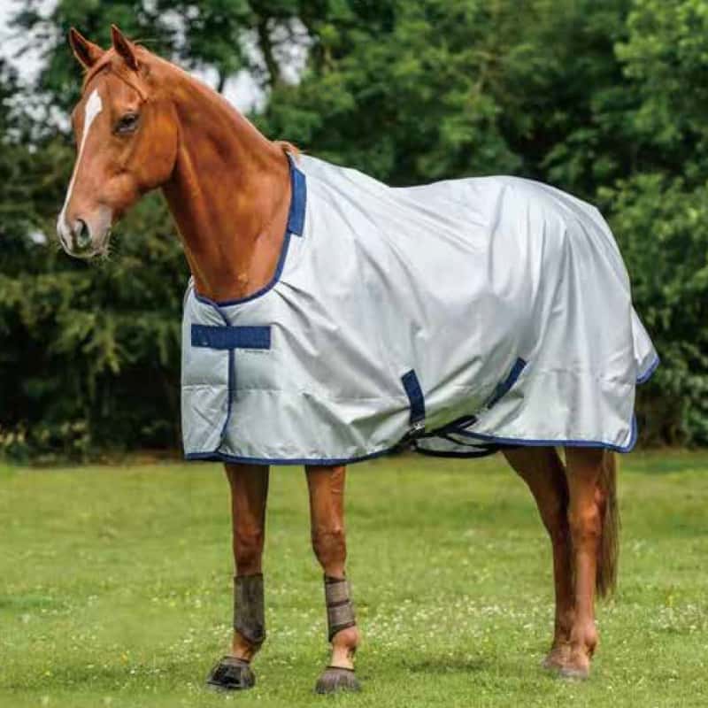 equestrian wholesalers china