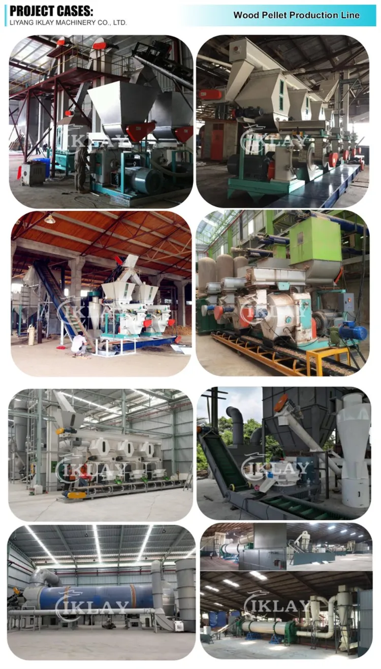 equestrian wholesalers china