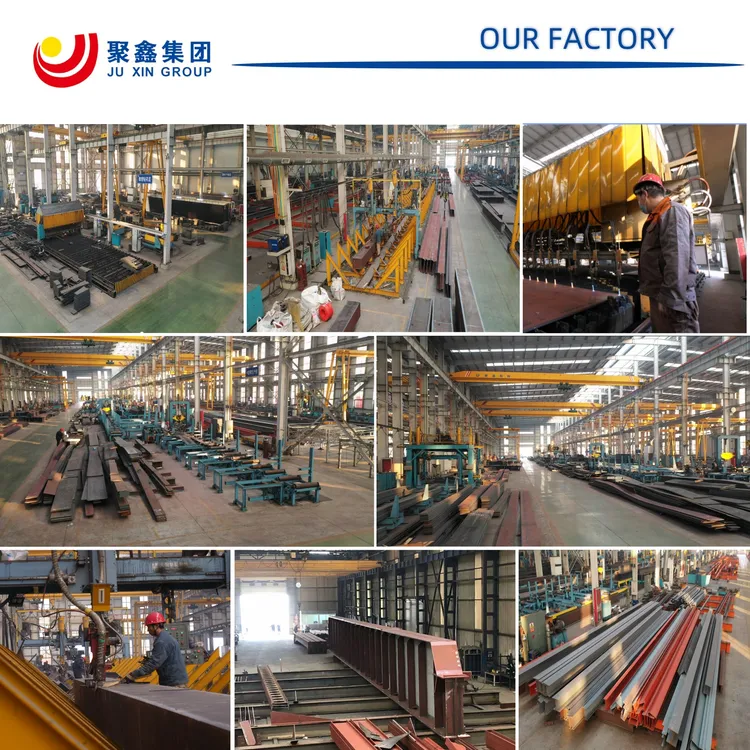 equestrian wholesalers china