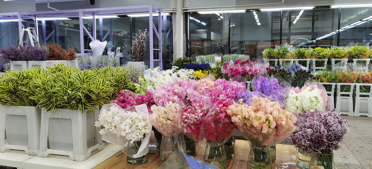 flowers from china at wholesale