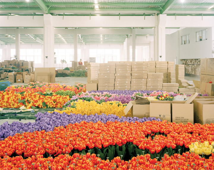 flowers from china at wholesale