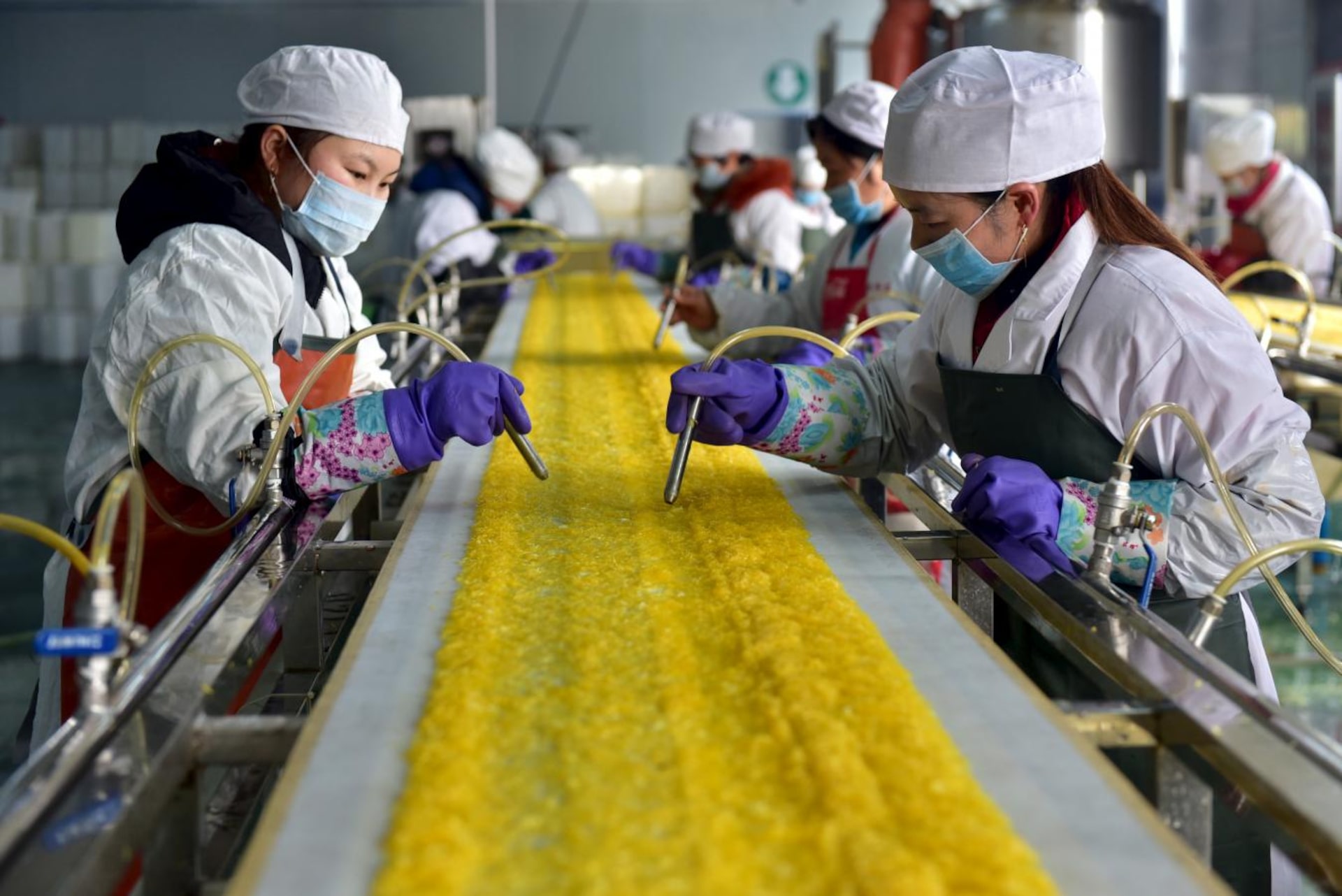 food processing companies in china