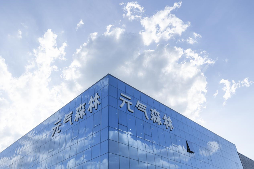 forest china company
