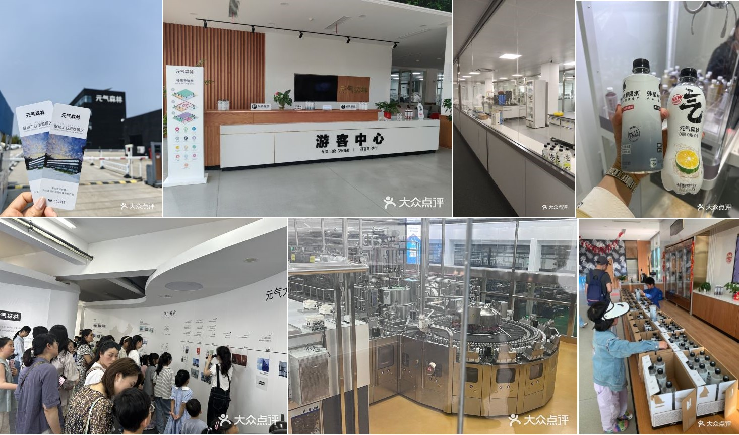 forest china company