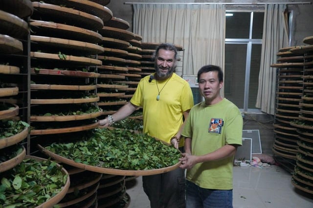 how to buy teas directly from vendors in china reddit