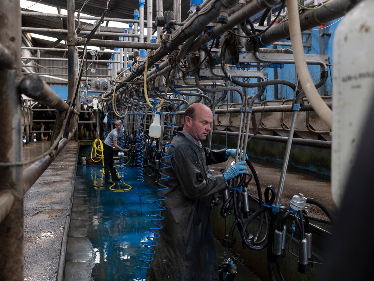 irish china companies