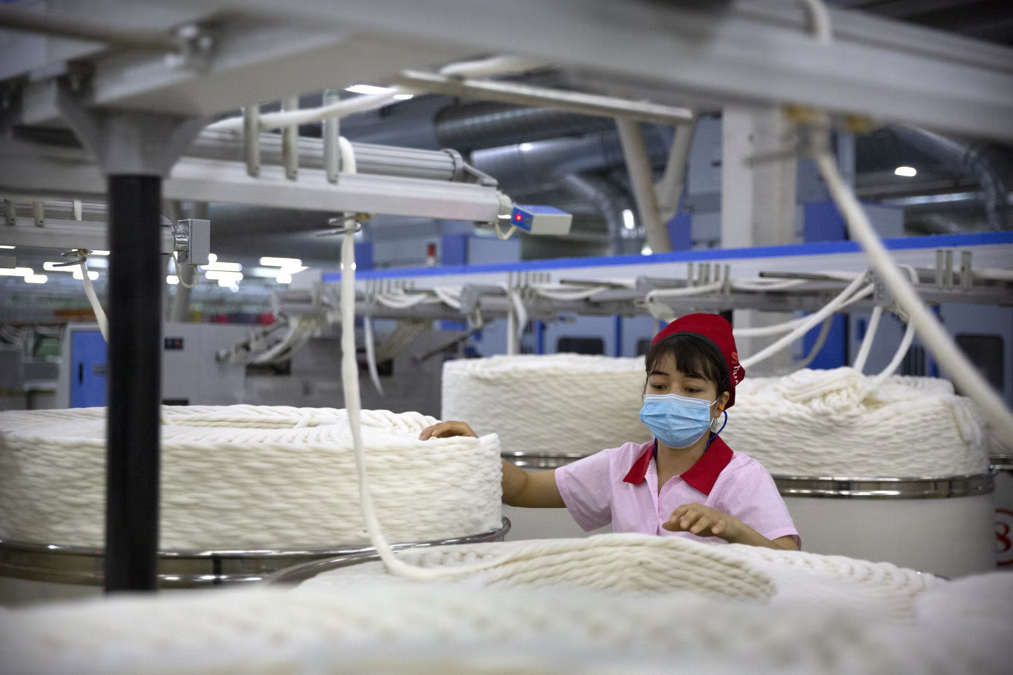 is temu a china based company