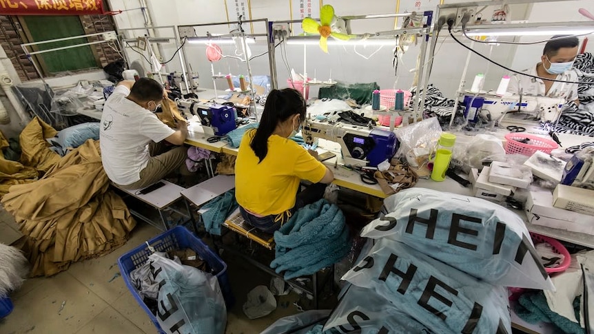 is temu a china owned company China Factory