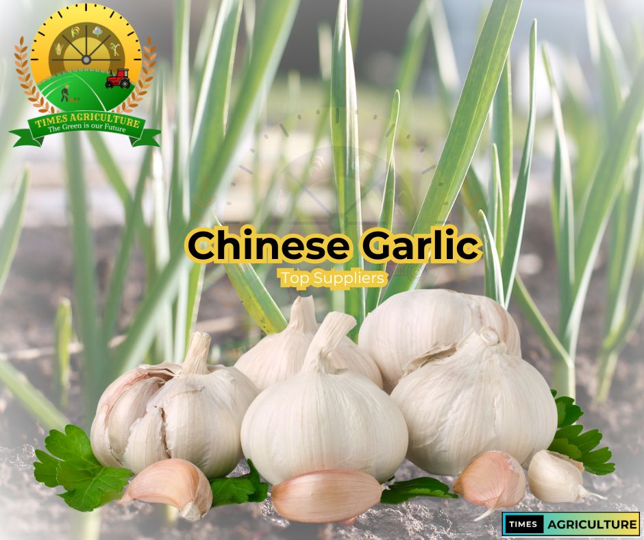 is trader joe's garlic from china China Factory