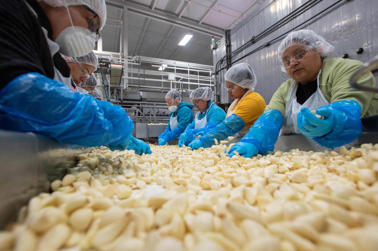 is trader joe's garlic from china