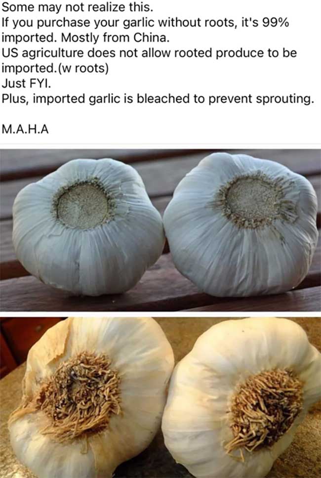is trader joe's garlic from china