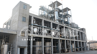 lemon-flex company limited china