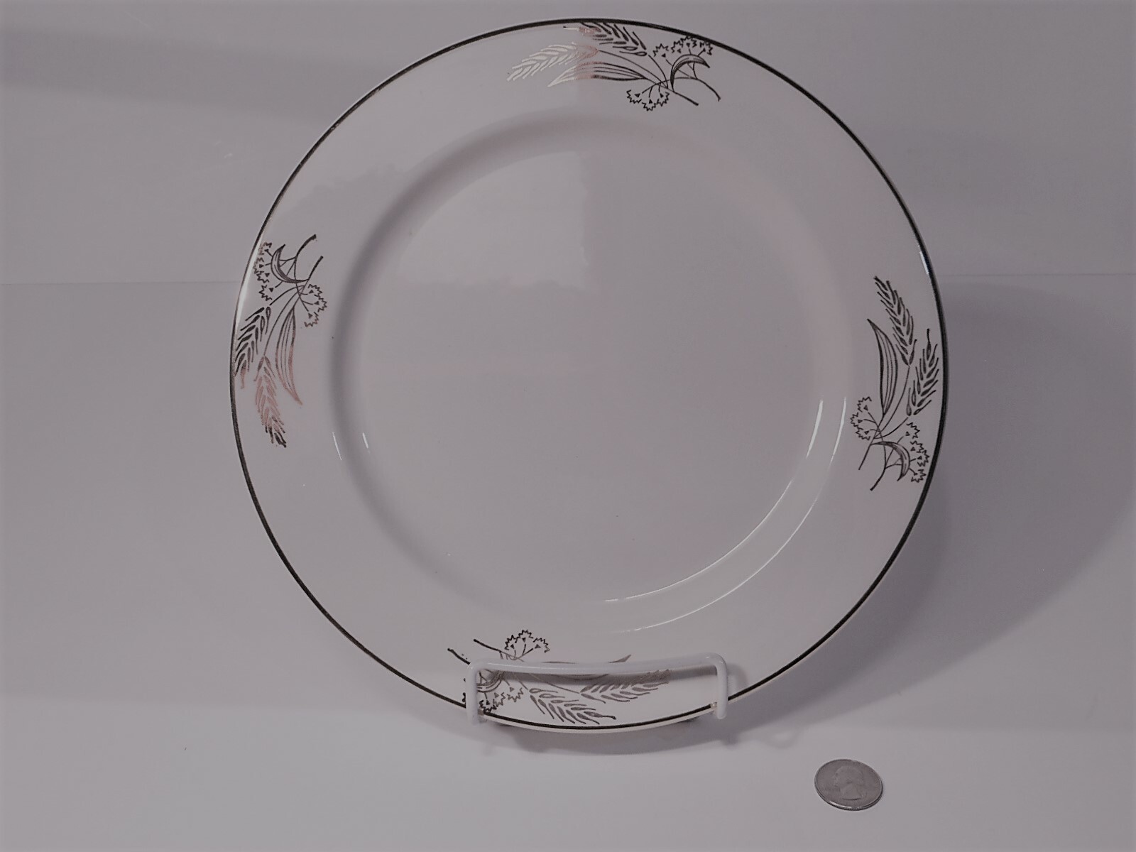 lifetime china company alliance ohio