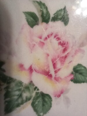 lifetime china company pink rose