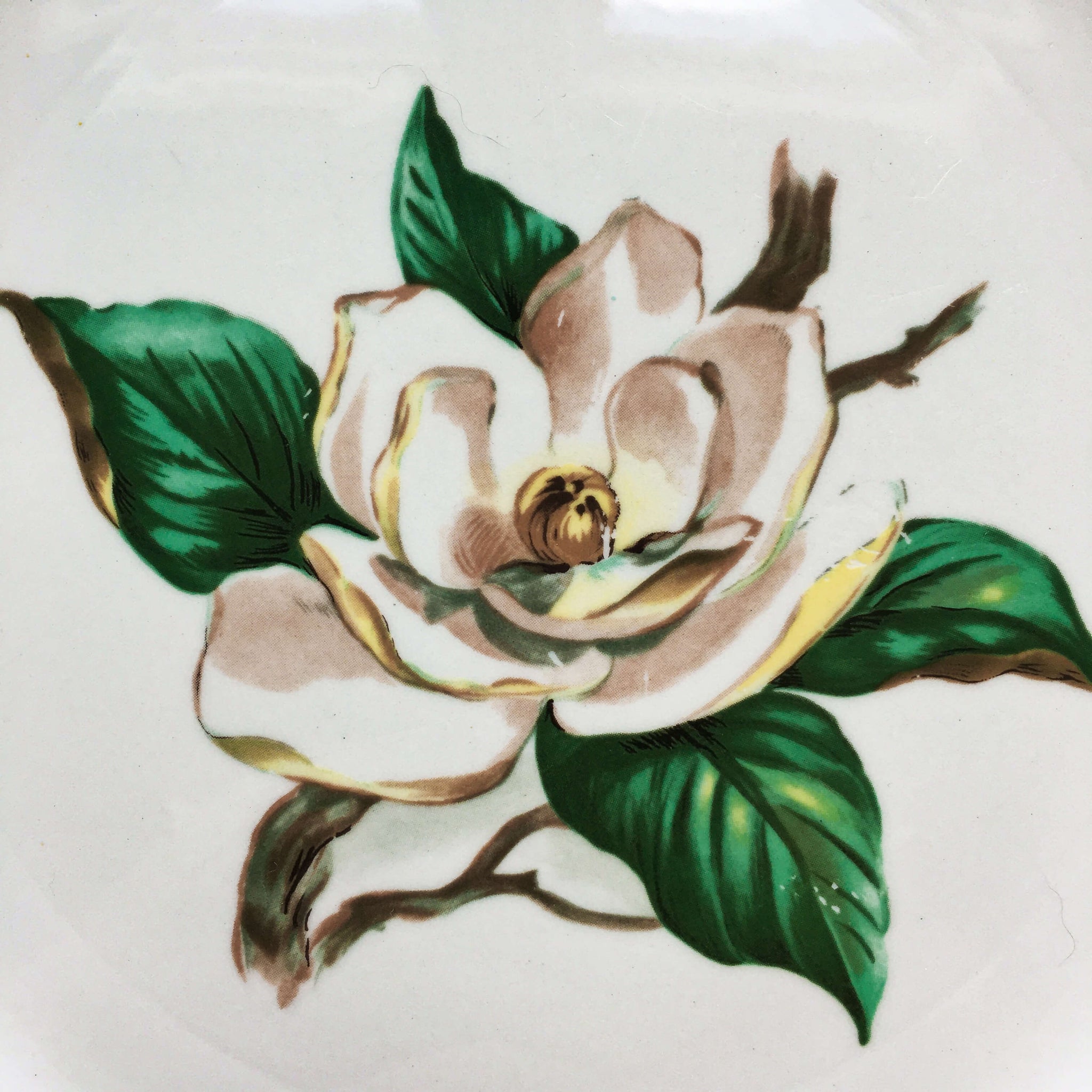 lifetime china company turquoise