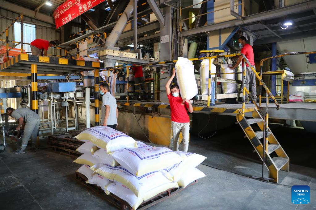 new hope china company China Factory