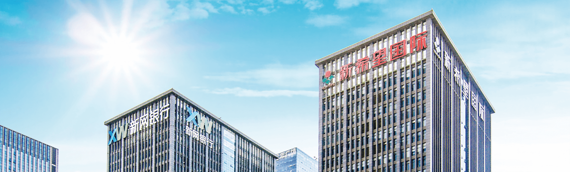 new hope china company