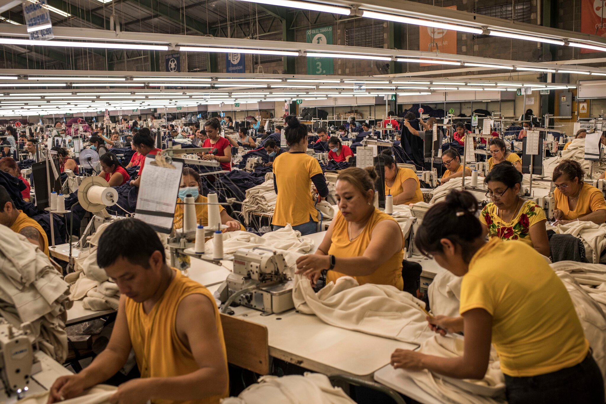 new zealand sporting goods company production back from china