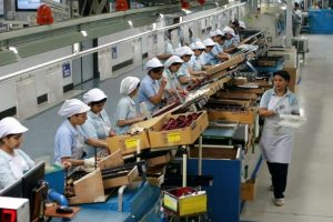 non china mobile company list in india