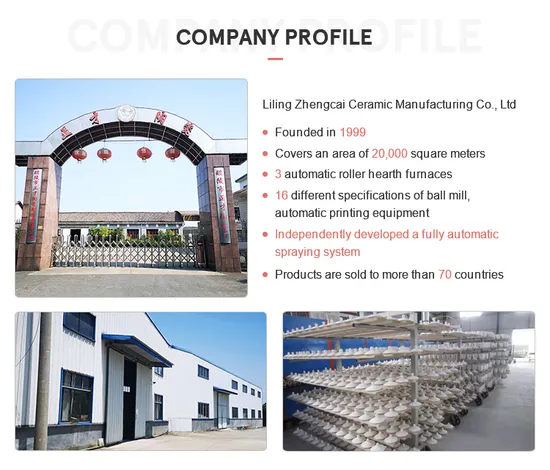 penguin china company China Factory