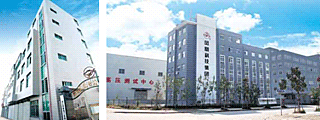phoenix china company