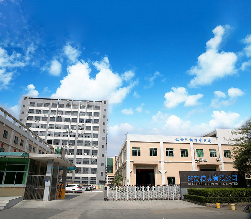 rego china company