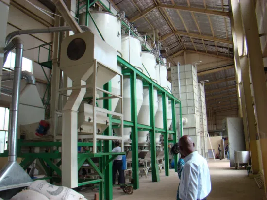 rice companies in china