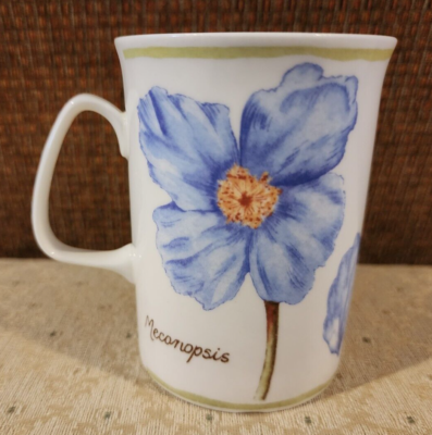 rose of england china company