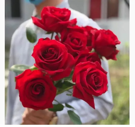 rose wholesale china