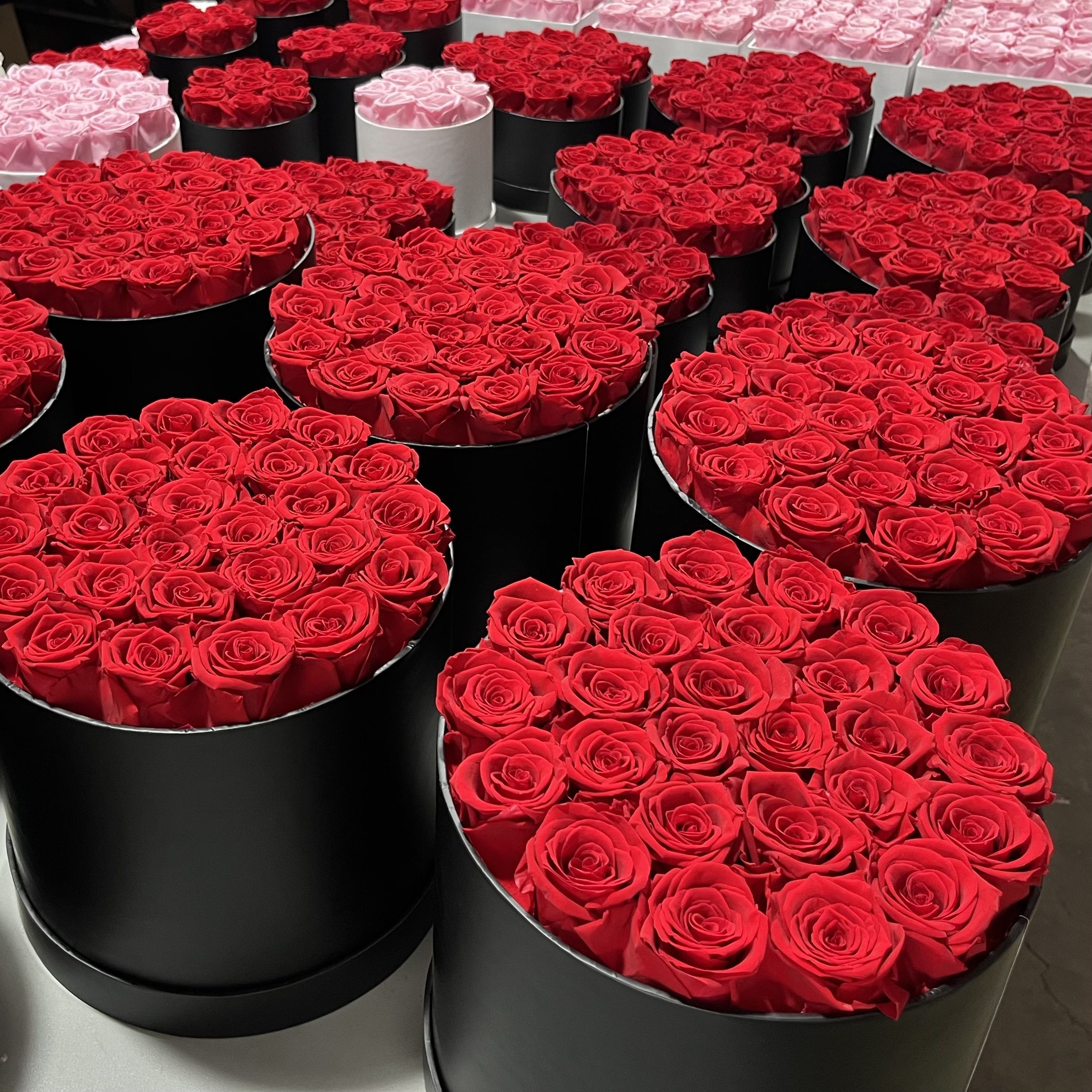 rose wholesale china