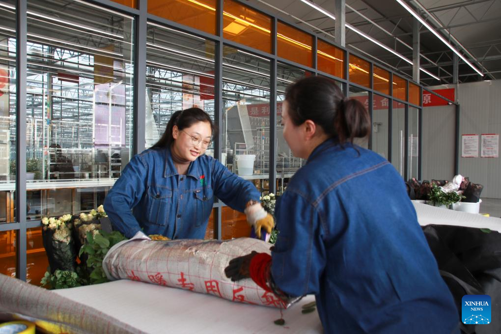 rose wholesale china