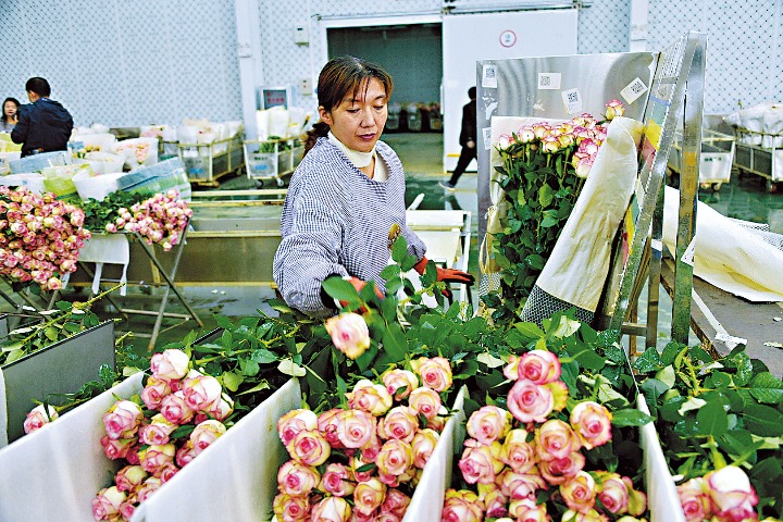 rose wholesale china