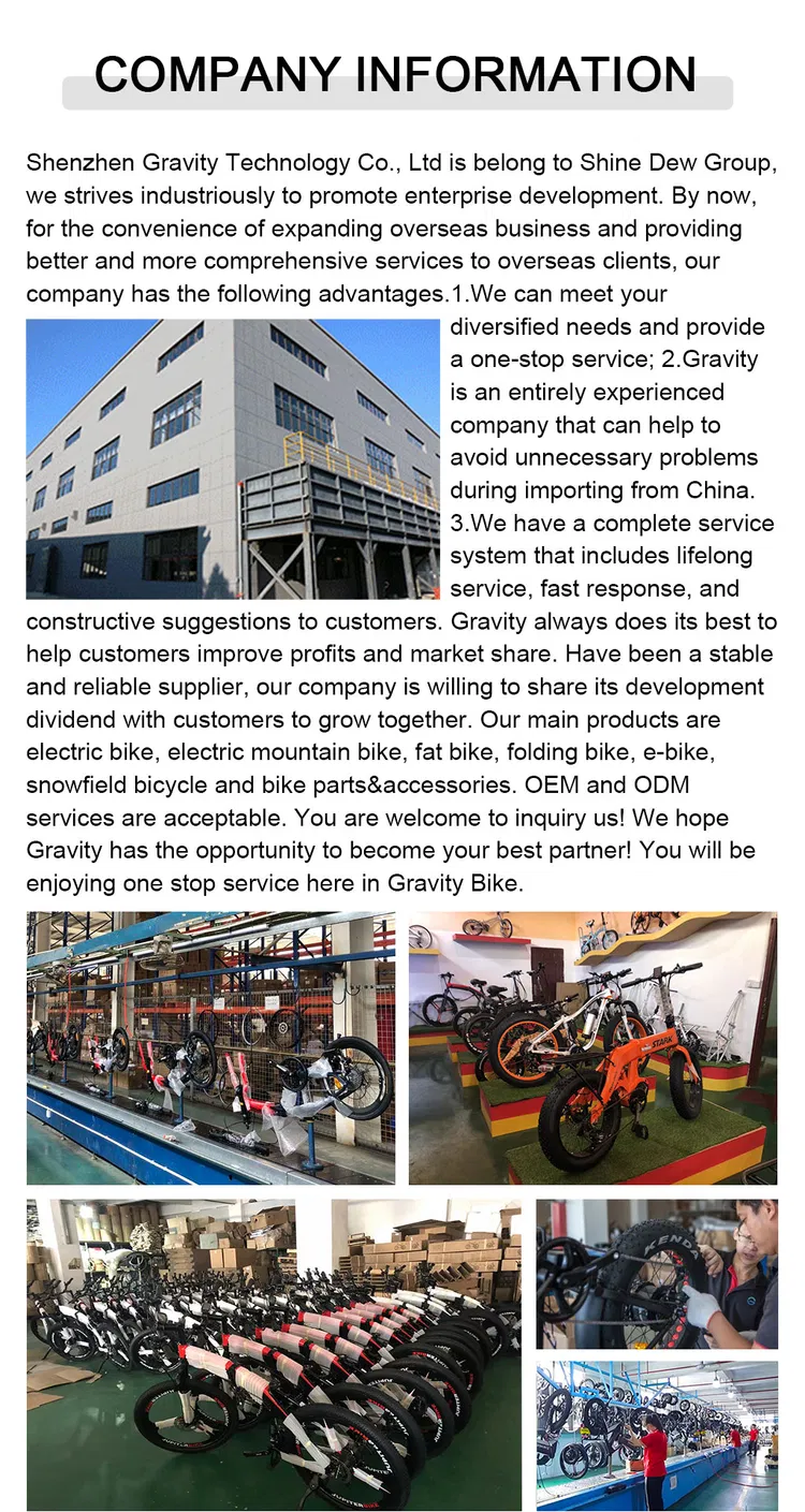 shenzhen china bicycle company holdings limited