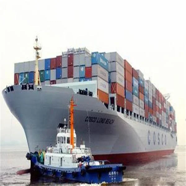 shipping companies from china to tanzania China Factory
