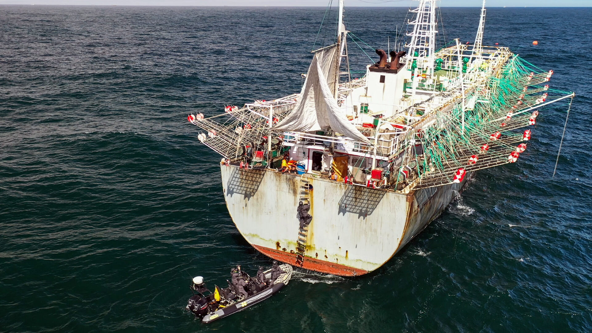 squid fishing company china