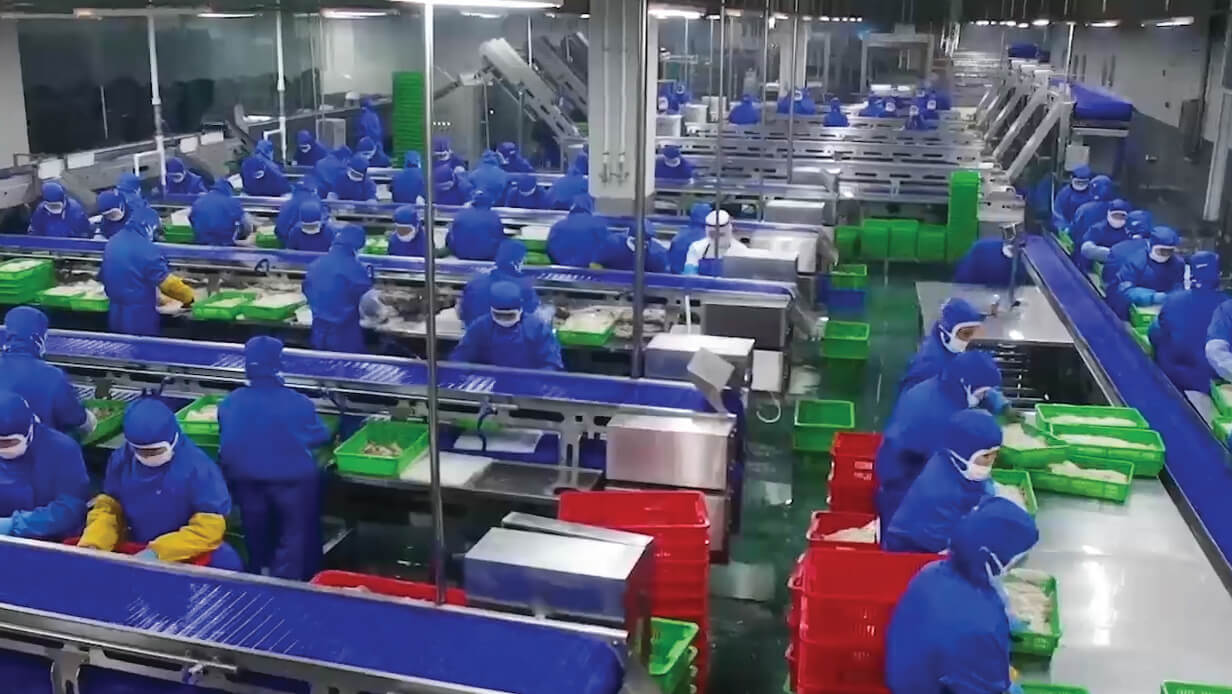 squid fishing company china