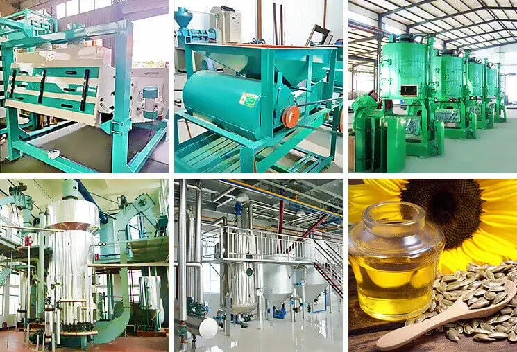 sunflower company china