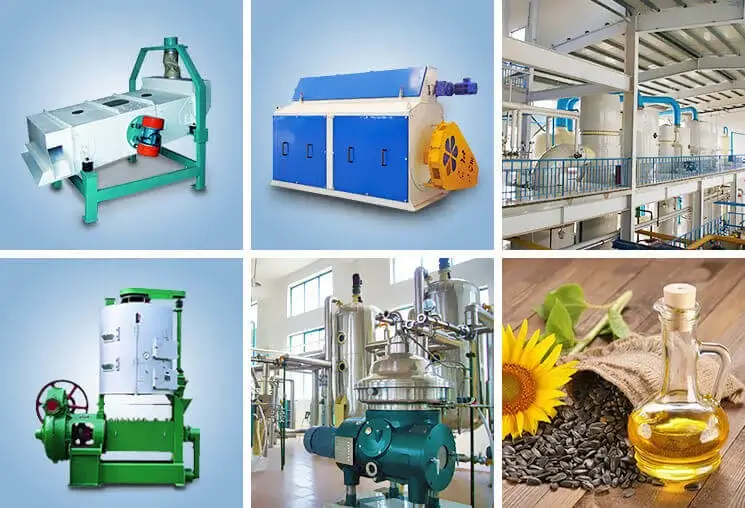 sunflower company china